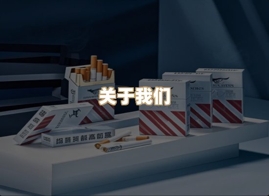 关于云歌烟网